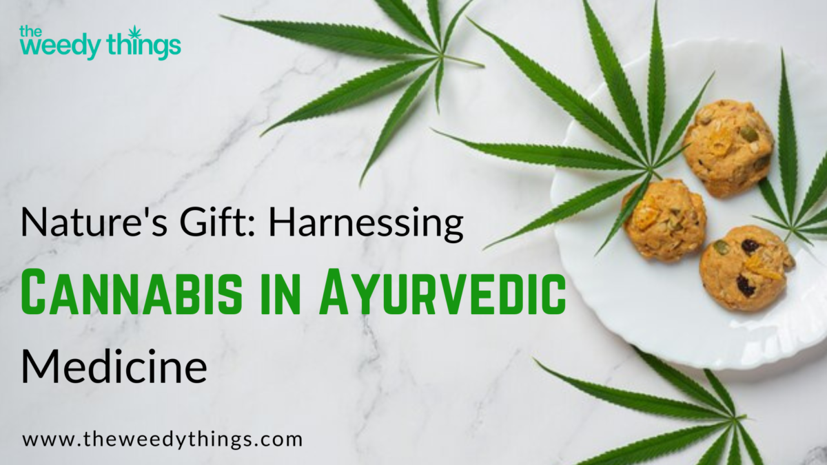 Nature's Gift Harnessing Cannabis in Ayurvedic Medicine