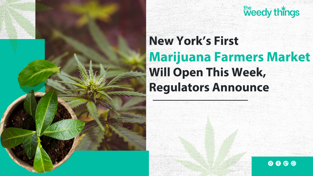 New York’s First Marijuana Farmers Market Will Open This Week, Regulators Announce