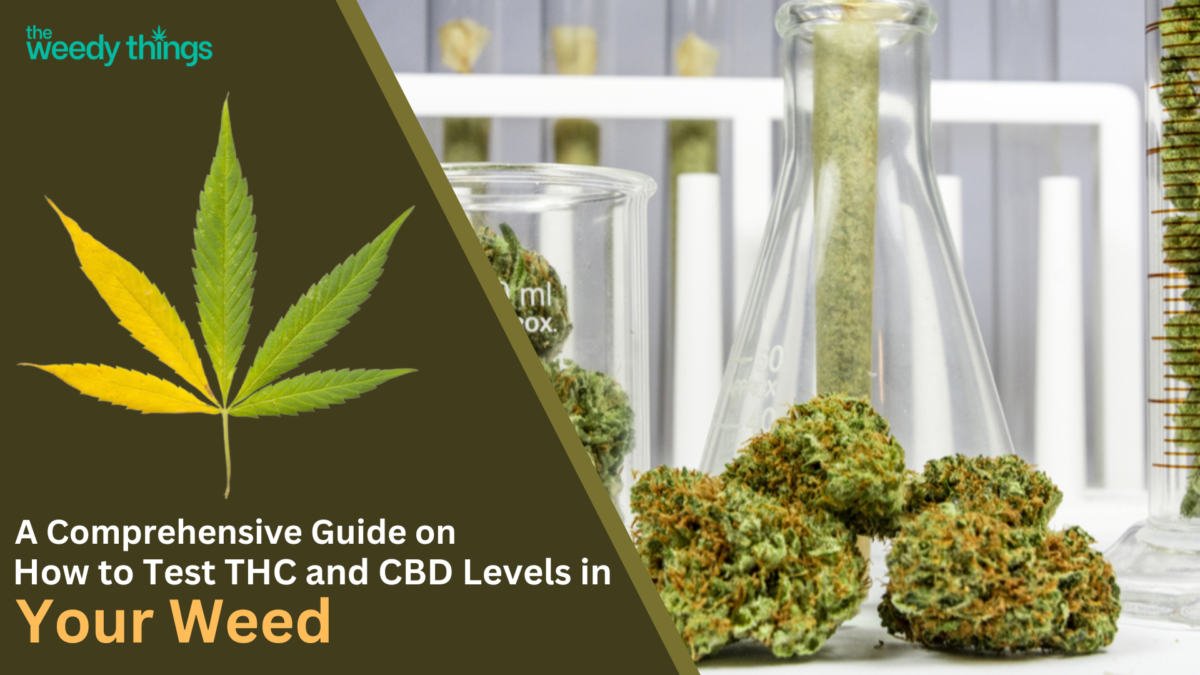How to Test THC and CBD Levels in Your Weed