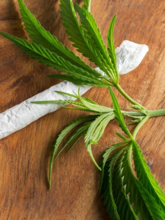 Expert Joint Rolling Tips and Tricks