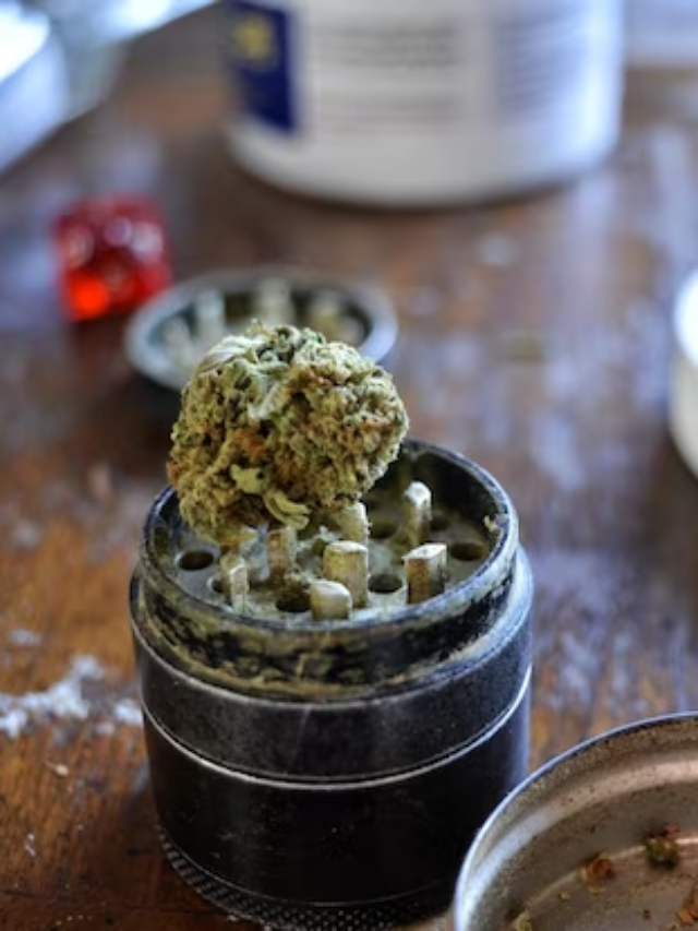 4 Tips to Ensure Your Weed Purchase is Top-Quality