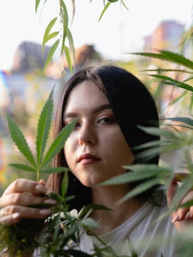 5 Best Indica Cannabis Strains of 2024