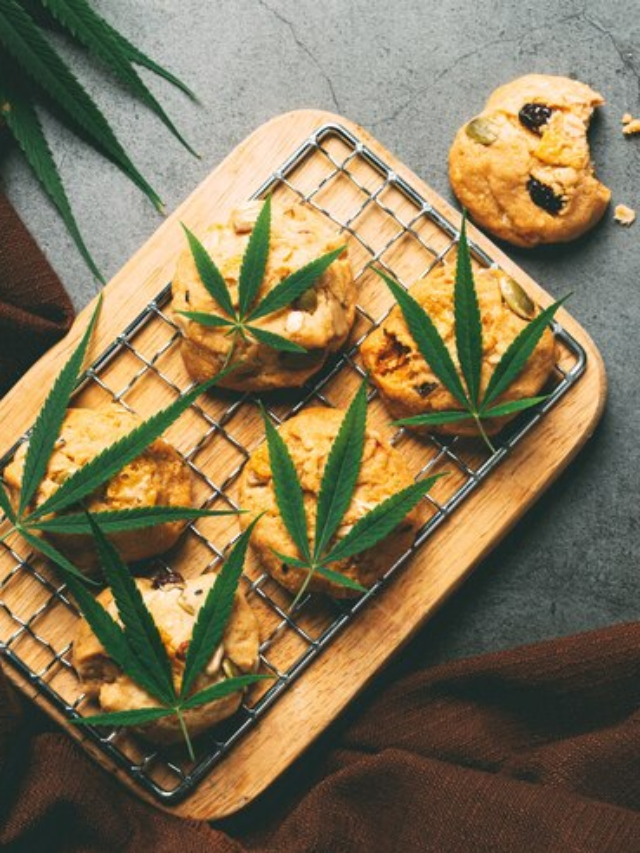 5 Low THC Cannabis Strains for Beginners