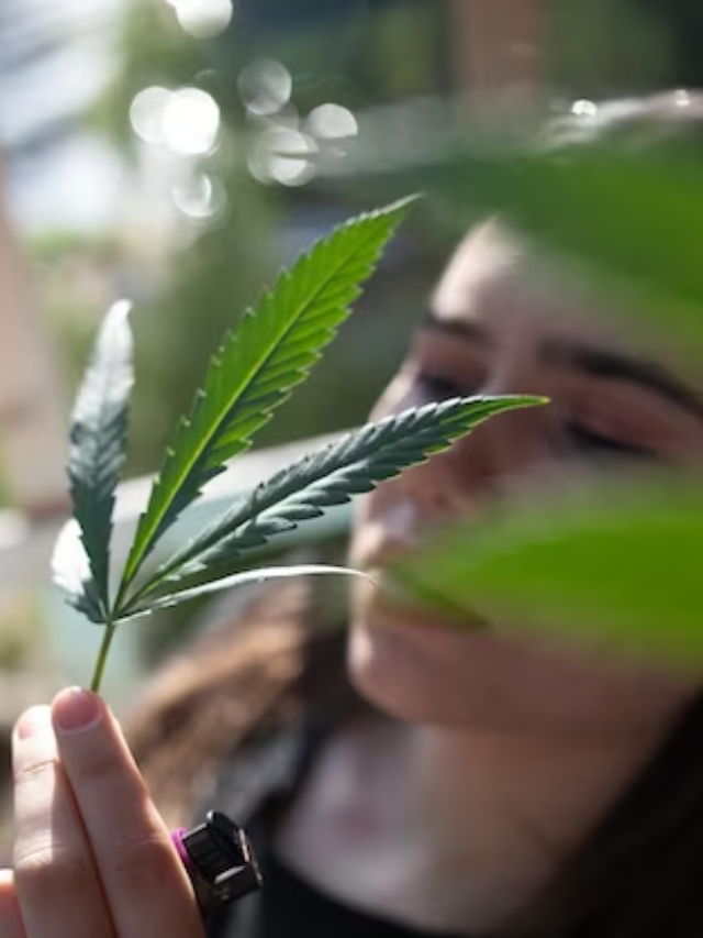 5 Cannabis Driven Wellness Tips