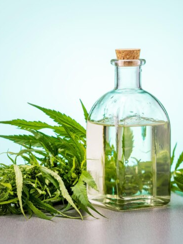 Cannabis Vs. Alcohol