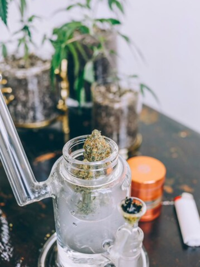 Top 5 Weed Dispensaries in Canada
