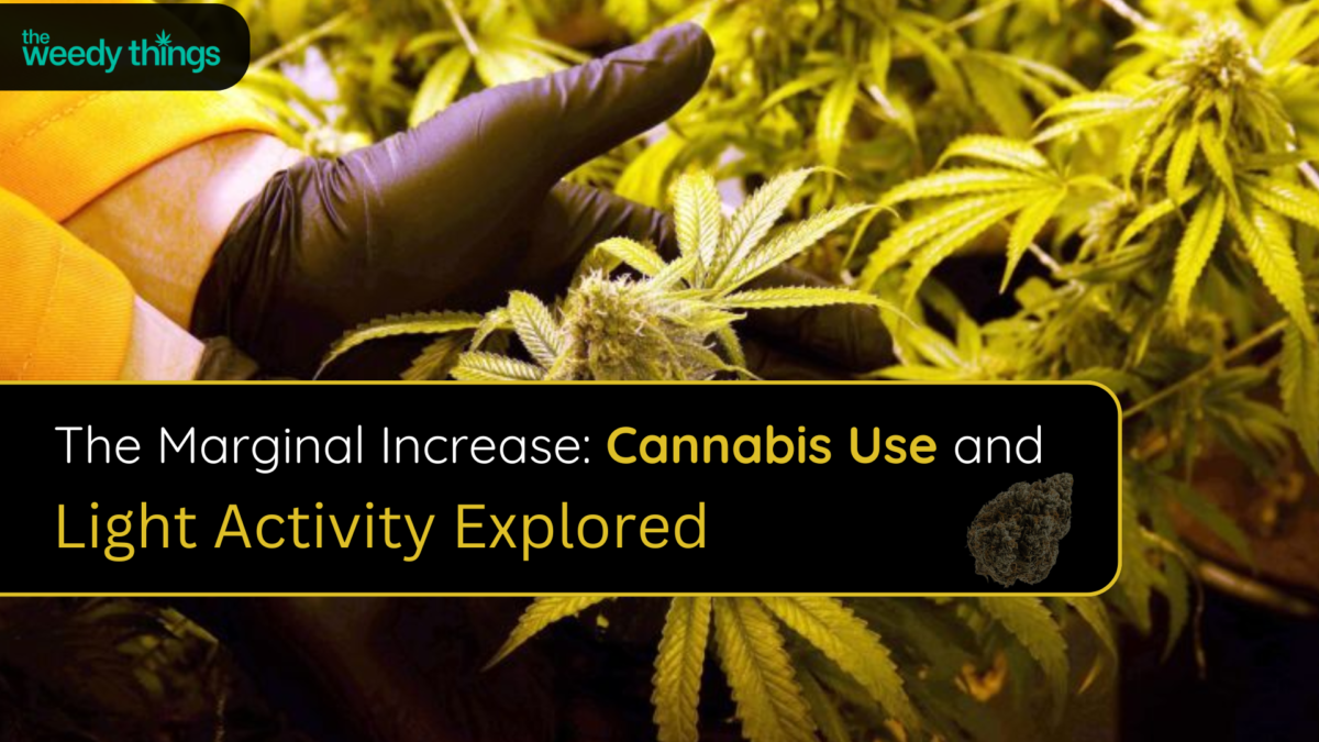 The Marginal Increase: Cannabis Use and Light Activity Explored