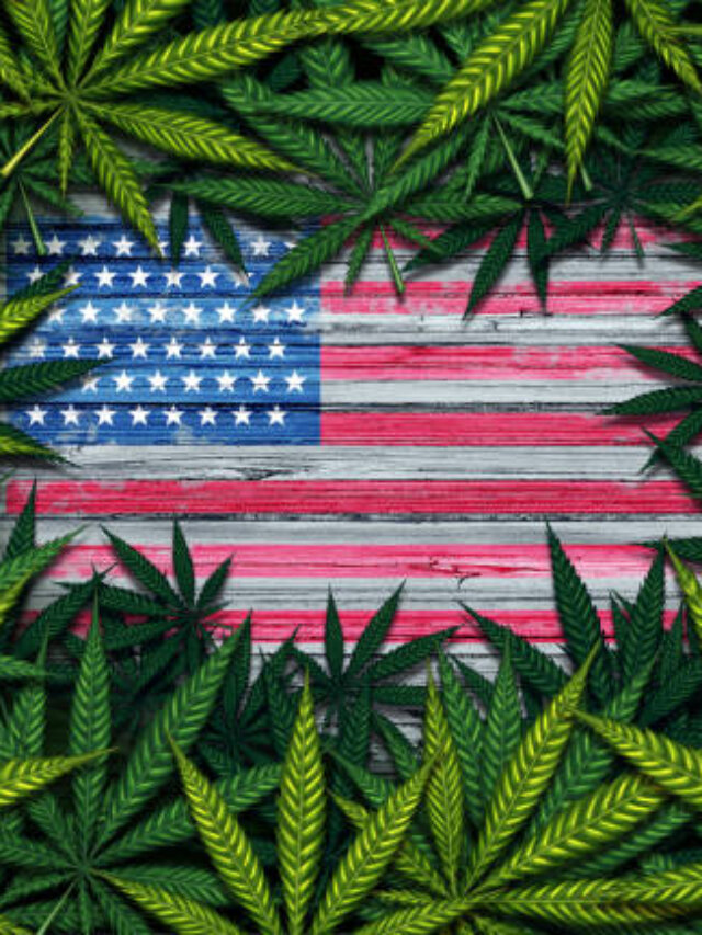High just got higher: Trump tariffs to raise prices for US cannabis users