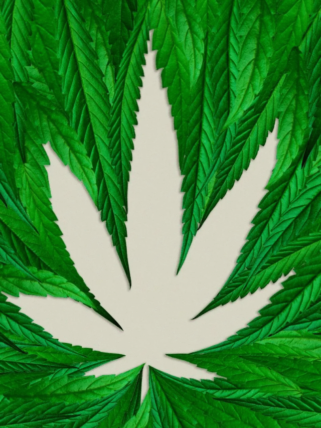 Cannabis Meets the Metaverse