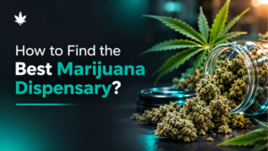 How to Search for the Best Marijuana Dispensary Near Me Online