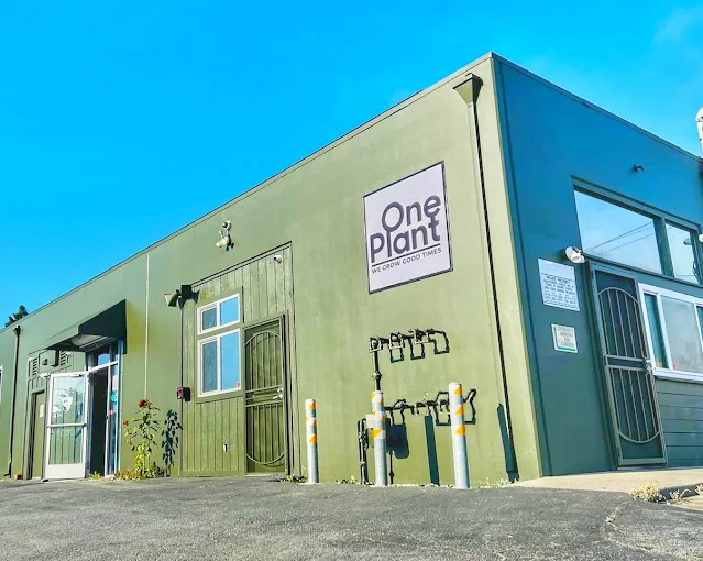 One Plant has become a respected dispensary chain in Northern and Central California.