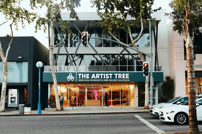 The Artist Tree - Los Angeles, West Hollywood and Beyond